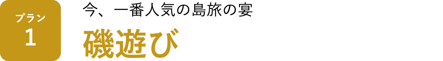 今、1番人気の島旅の宴「磯遊び」
