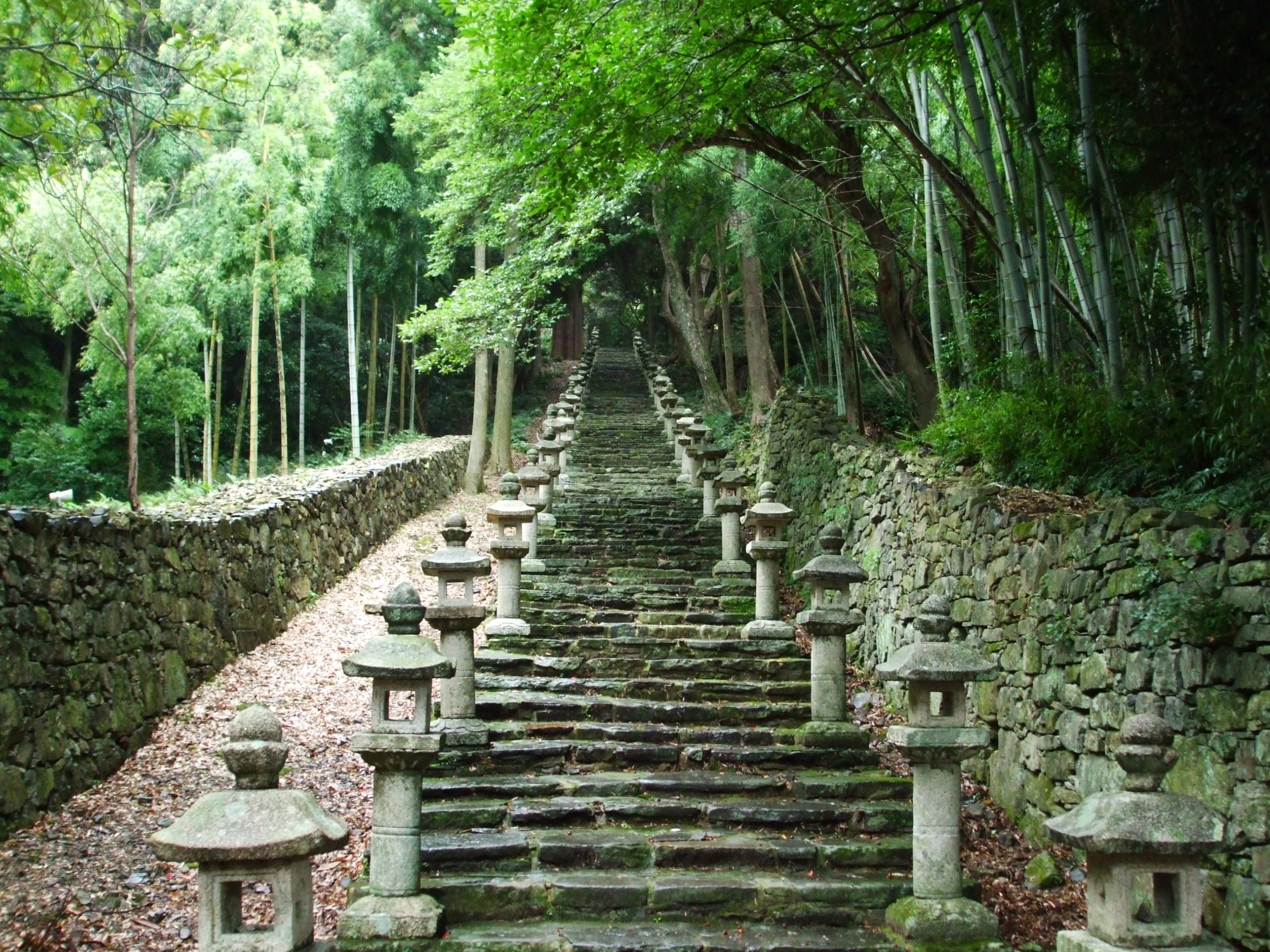 万松院 百雁木の風景